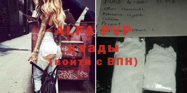ПСИЛОЦИБИНОВЫЕ ГРИБЫ Елизово
