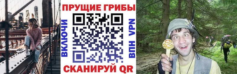 Купить  Лыткарино  Псилоцибиновые грибы ЛСД 
